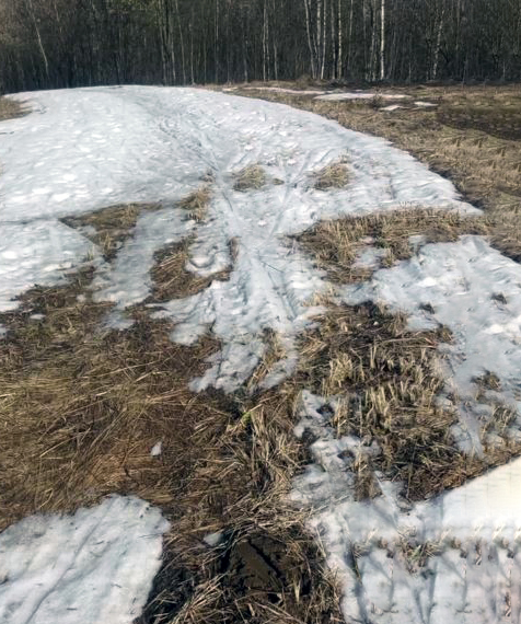 Трасса лыжная Восточный, состояние на 31 марта 2026 по отзыву, фото 1. 