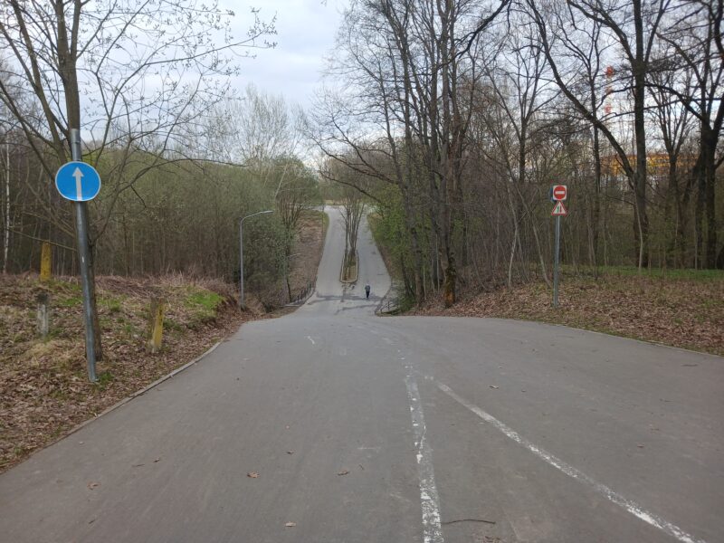 Трасса лыжероллерная Алешкино, состояние на 17 апреля 2026 по отзыву, фото 2. Овраг со стороны поля 
