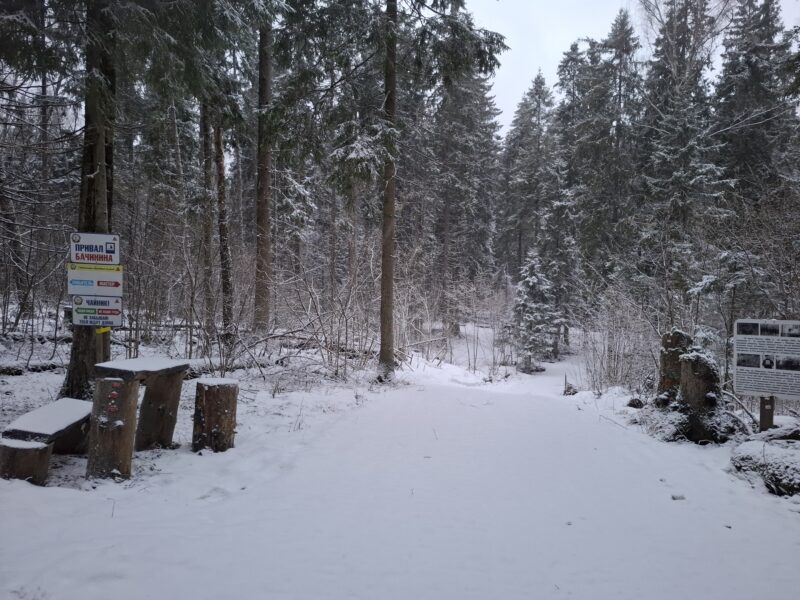 Трасса лыжная ГАБО, состояние на 10 апреля 2026 по отзыву, фото 12. 