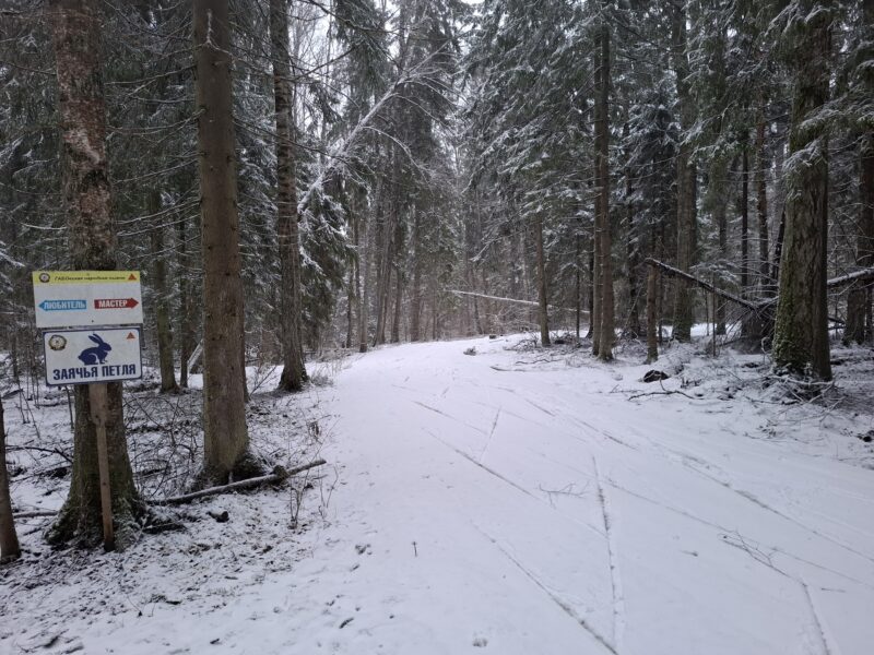 Трасса лыжная ГАБО, состояние на 10 апреля 2026 по отзыву, фото 9. 