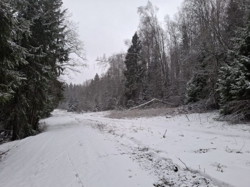 Трасса лыжная ГАБО, состояние на 10 апреля 2026 по отзыву, фото 7. 