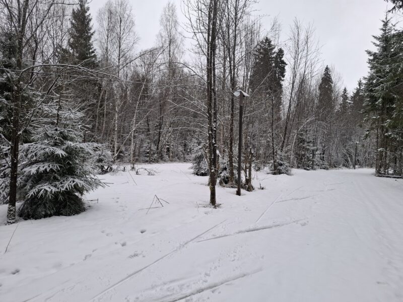 Трасса лыжная ГАБО, состояние на 10 апреля 2026 по отзыву, фото 3. 