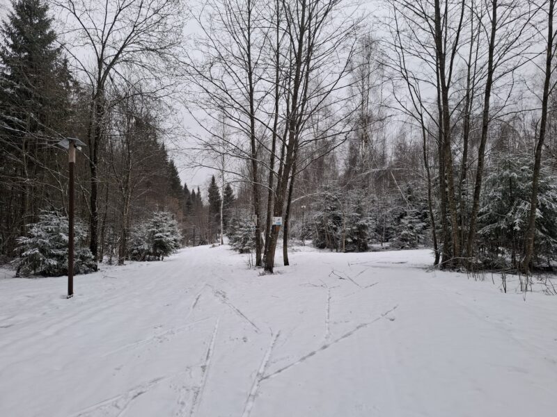 Трасса лыжная ГАБО, состояние на 10 апреля 2026 по отзыву, фото 2. 