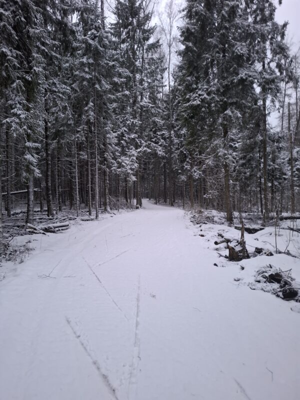 Трасса лыжная ГАБО, состояние на 10 апреля 2026 по отзыву, фото 14. 