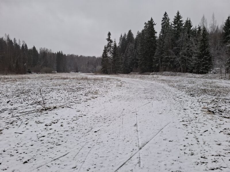 Трасса лыжная ГАБО, состояние на 10 апреля 2026 по отзыву, фото 5. 