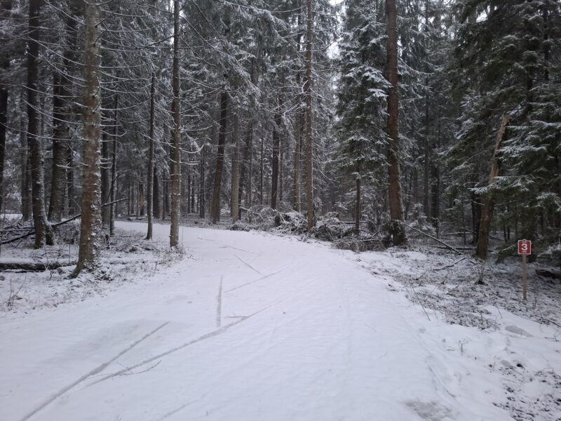 Трасса лыжная ГАБО, состояние на 10 апреля 2026 по отзыву, фото 10. 