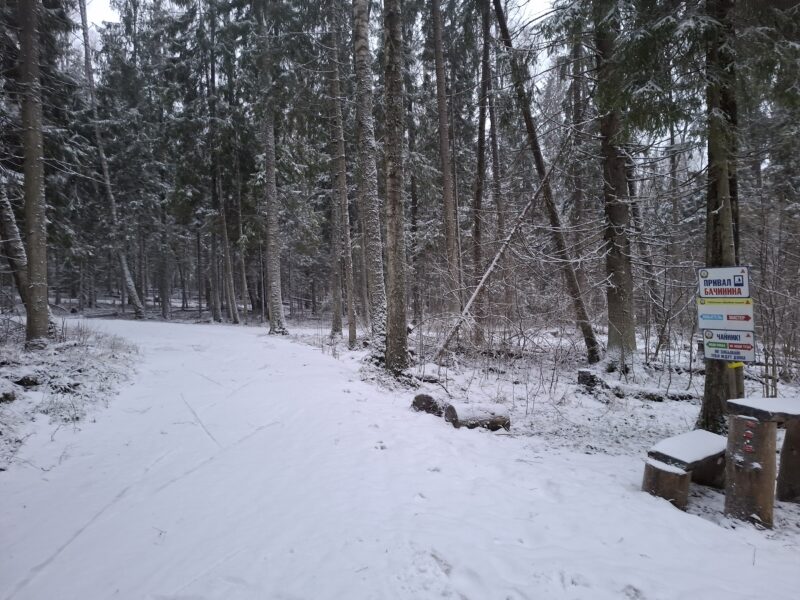 Трасса лыжная ГАБО, состояние на 10 апреля 2026 по отзыву, фото 11. 