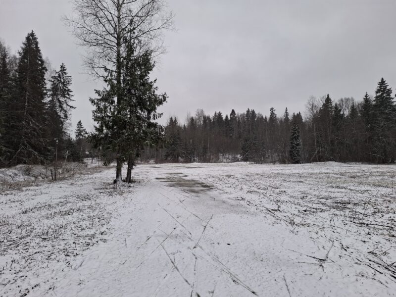 Трасса лыжная ГАБО, состояние на 10 апреля 2026 по отзыву, фото 6. 
