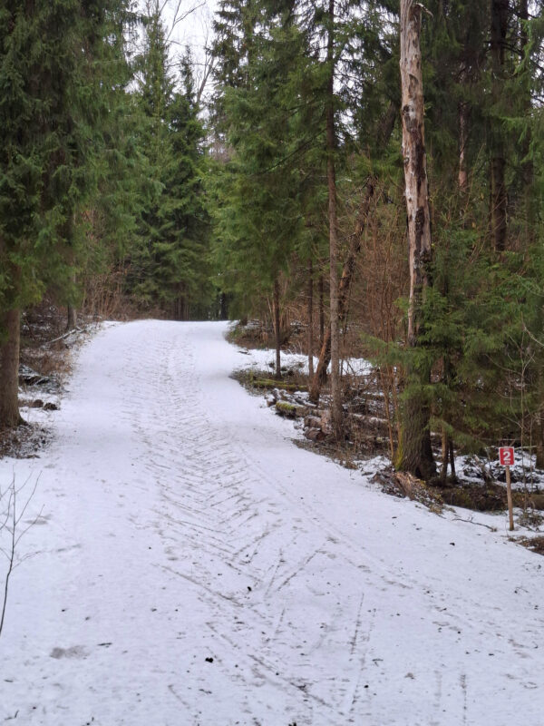 Трасса лыжная ГАБО, состояние на 11 апреля 2026 по отзыву, фото 5. 