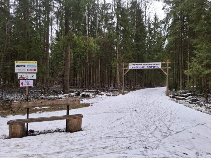 Трасса лыжная ГАБО, состояние на 11 апреля 2026 по отзыву, фото 6. 