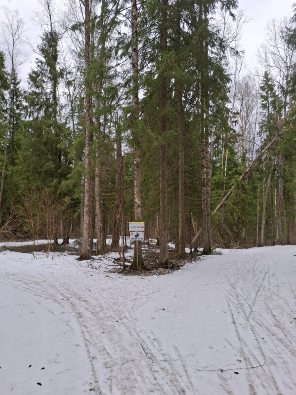 Трасса лыжная ГАБО, состояние на 11 апреля 2026 по отзыву, фото 11. 