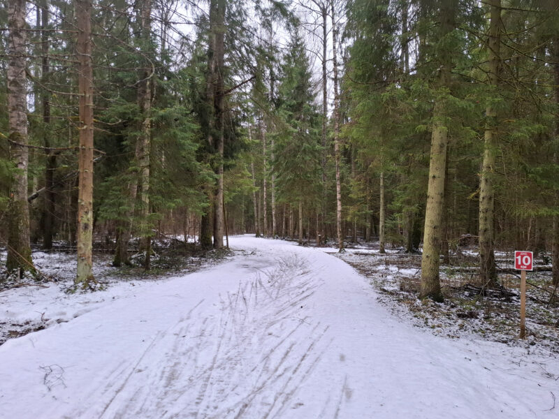 Трасса лыжная ГАБО, состояние на 11 апреля 2026 по отзыву, фото 9. 