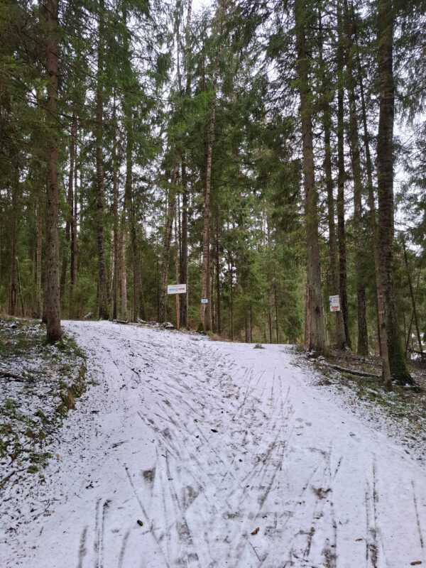 Трасса лыжная ГАБО, состояние на 11 апреля 2026 по отзыву, фото 8. 