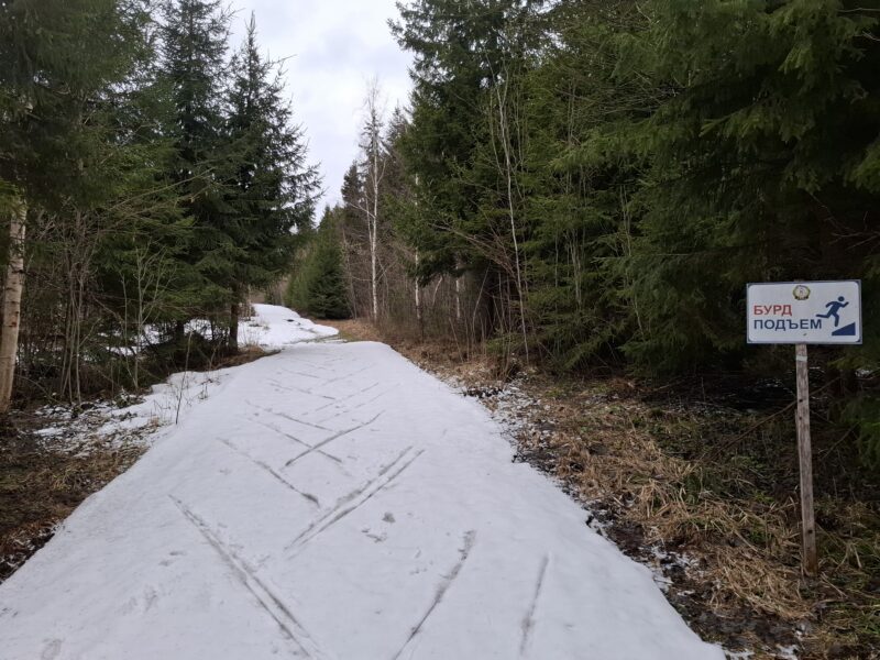 Трасса лыжная ГАБО, состояние на 11 апреля 2026 по отзыву, фото 17. 