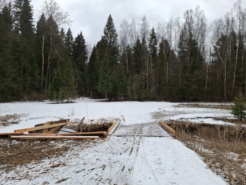 Трасса лыжная ГАБО, состояние на 11 апреля 2026 по отзыву, фото 3. 