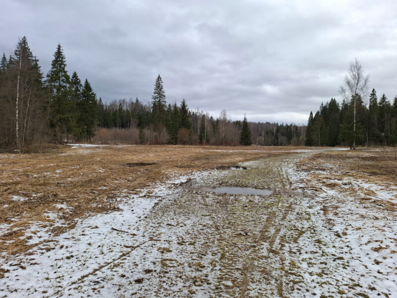 Трасса лыжная ГАБО, состояние на 11 апреля 2026 по отзыву, фото 2. 