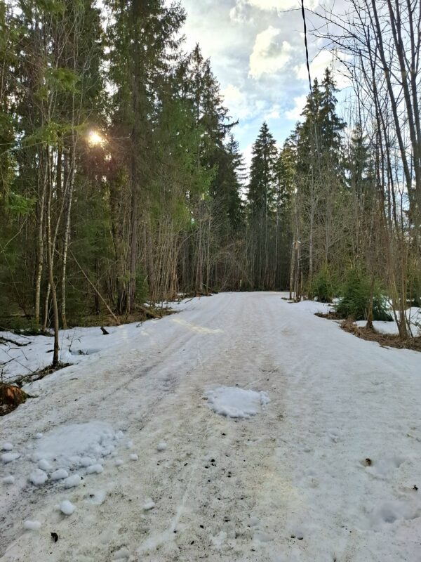 Трасса лыжная ГАБО, состояние на 14 апреля 2026 по отзыву, фото 3. 
