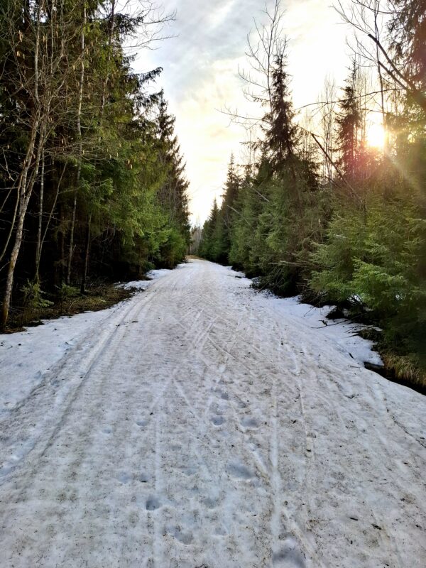 Трасса лыжная ГАБО, состояние на 14 апреля 2026 по отзыву, фото 7. 