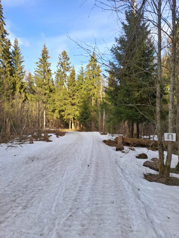 Трасса лыжная ГАБО, состояние на 14 апреля 2026 по отзыву, фото 4. 