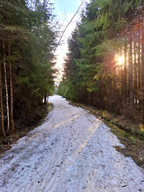 Трасса лыжная ГАБО, состояние на 14 апреля 2026 по отзыву, фото 9. 