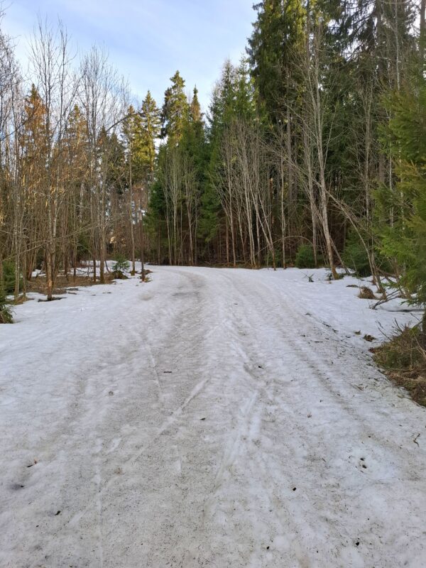 Трасса лыжная ГАБО, состояние на 14 апреля 2026 по отзыву, фото 2. 