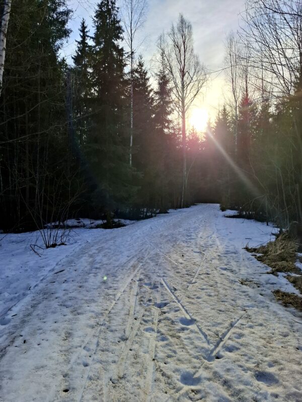 Трасса лыжная ГАБО, состояние на 14 апреля 2026 по отзыву, фото 5. 