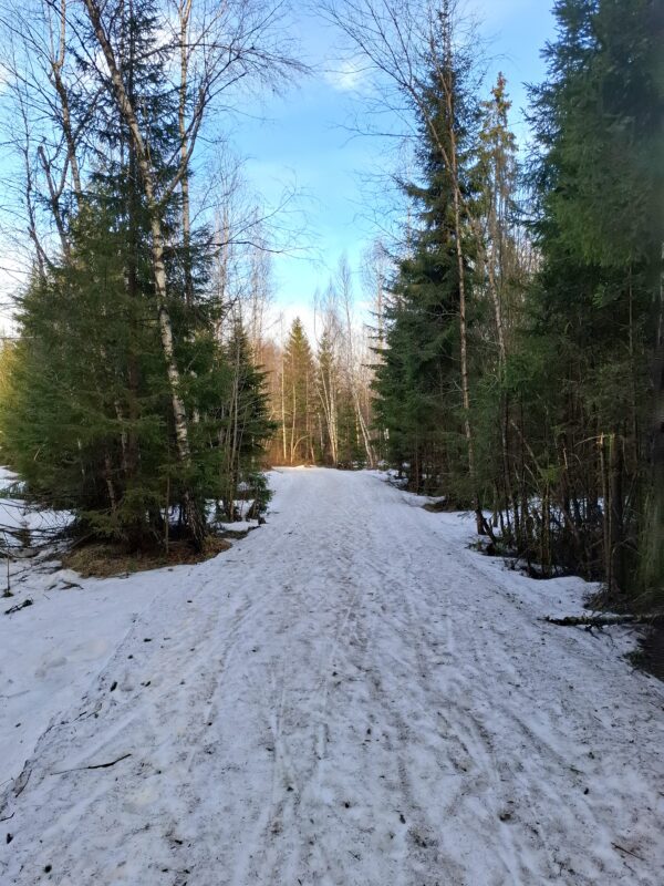 Трасса лыжная ГАБО, состояние на 14 апреля 2026 по отзыву, фото 6. 