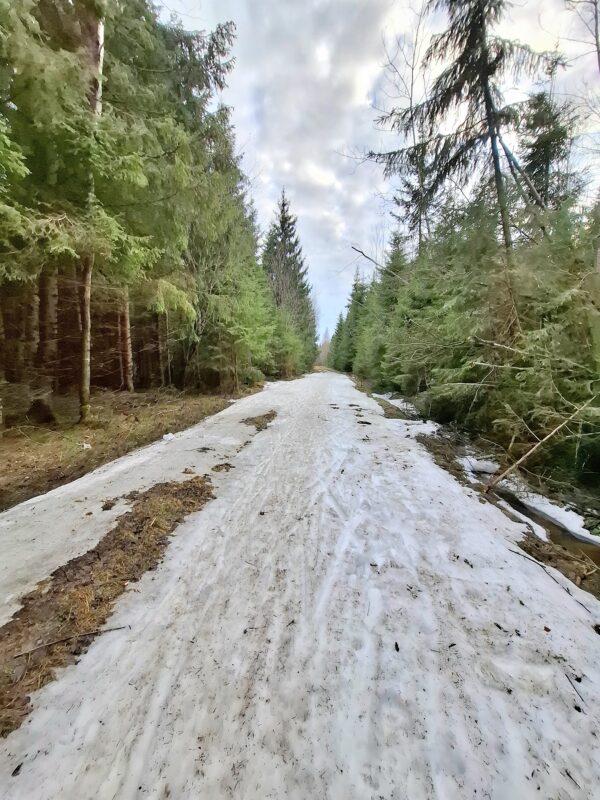 Трасса лыжная ГАБО, состояние на 18 апреля 2026 по отзыву, фото 9. 