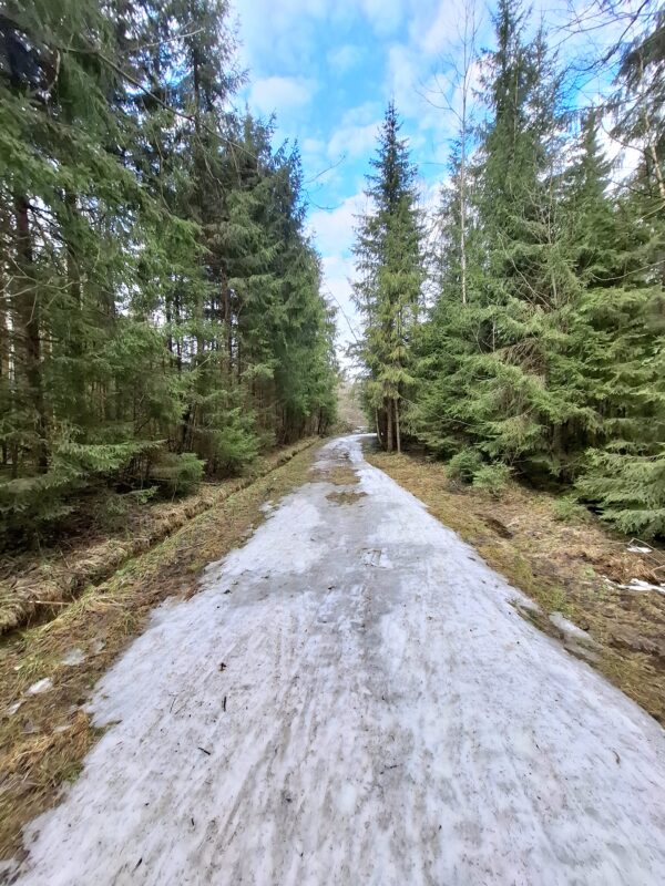 Трасса лыжная ГАБО, состояние на 18 апреля 2026 по отзыву, фото 4. 