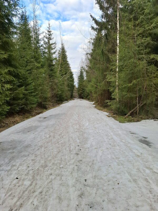 Трасса лыжная ГАБО, состояние на 18 апреля 2026 по отзыву, фото 3. 
