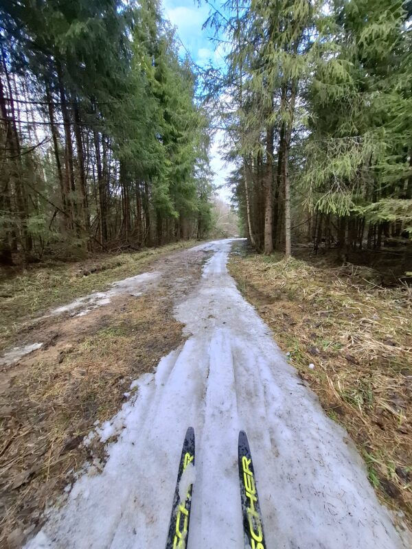 Трасса лыжная ГАБО, состояние на 18 апреля 2026 по отзыву, фото 5. 