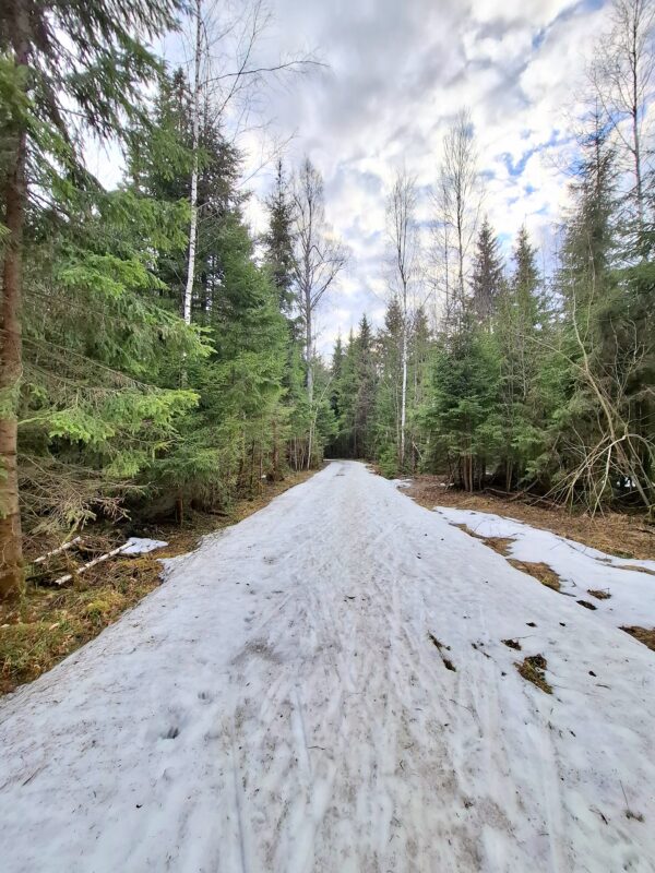 Трасса лыжная ГАБО, состояние на 18 апреля 2026 по отзыву, фото 8. 