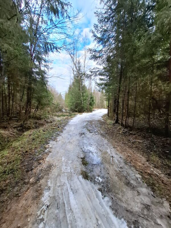 Трасса лыжная ГАБО, состояние на 18 апреля 2026 по отзыву, фото 6. 
