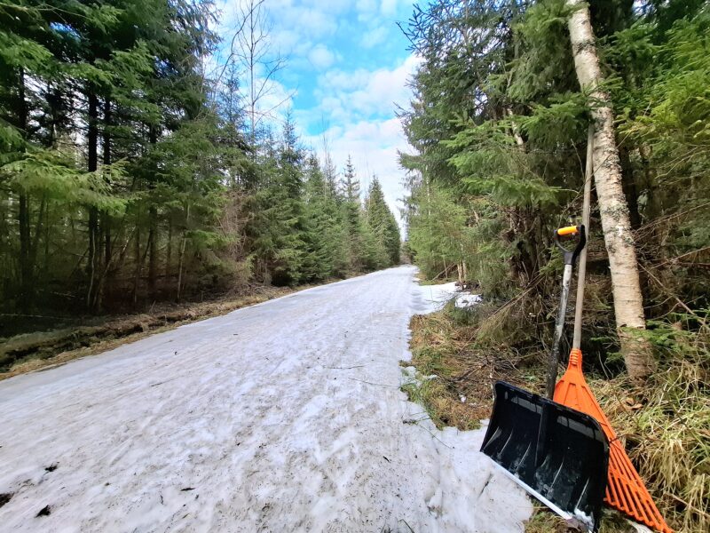 Трасса лыжная ГАБО, состояние на 18 апреля 2026 по отзыву, фото 2. 