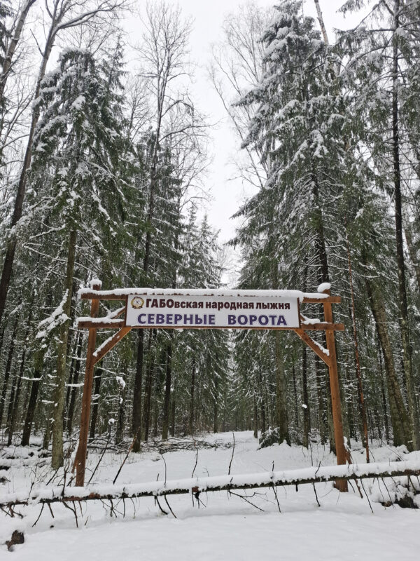Трасса лыжная ГАБО, состояние на 28 апреля 2026 по отзыву, фото 10. 