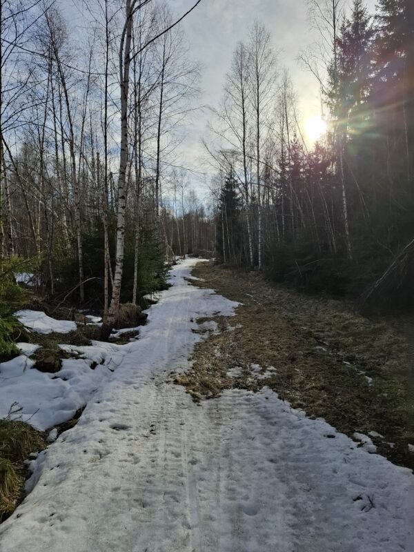 Трасса лыжная ГАБО, состояние на 7 апреля 2026 по отзыву, фото 14. 