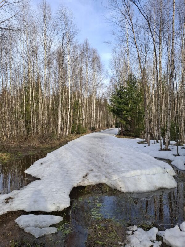 Трасса лыжная ГАБО, состояние на 7 апреля 2026 по отзыву, фото 13. 