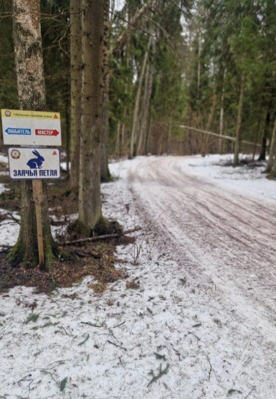 Трасса лыжная ГАБО, состояние на 7 апреля 2026 по отзыву, фото 3. 