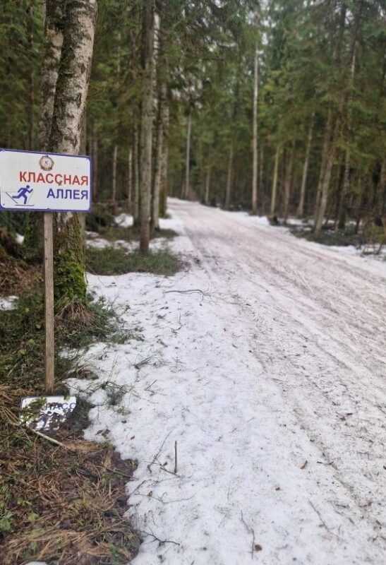 Трасса лыжная ГАБО, состояние на 7 апреля 2026 по отзыву, фото 4. 