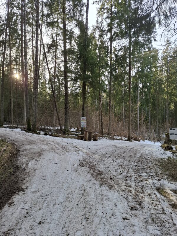 Трасса лыжная ГАБО, состояние на 7 апреля 2026 по отзыву, фото 5. 