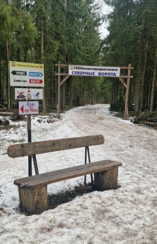 Трасса лыжная ГАБО, состояние на 7 апреля 2026 по отзыву, фото 1. 