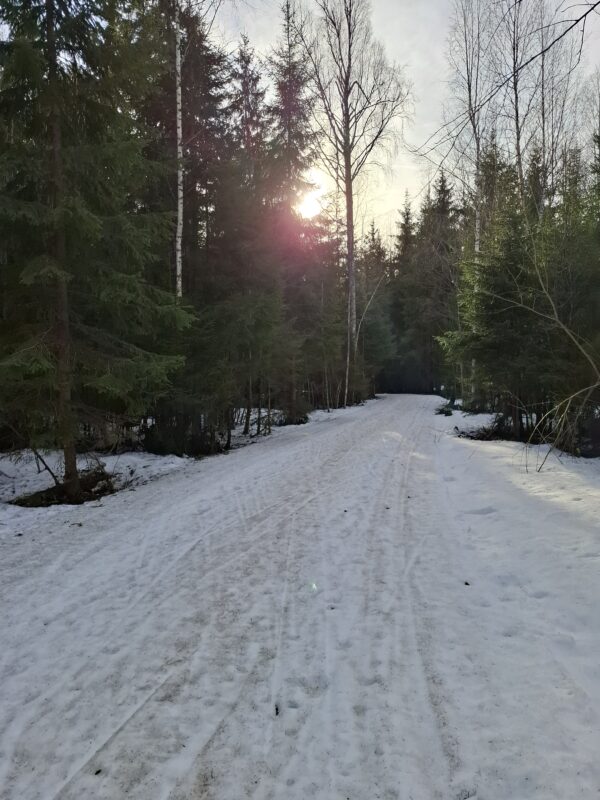 Трасса лыжная ГАБО, состояние на 7 апреля 2026 по отзыву, фото 18. 