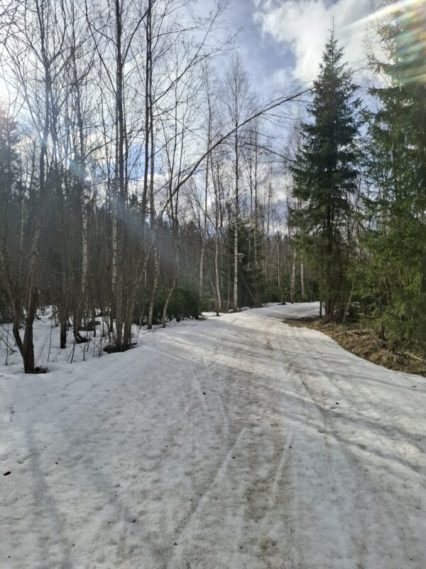 Трасса лыжная ГАБО, состояние на 7 апреля 2026 по отзыву, фото 8. 