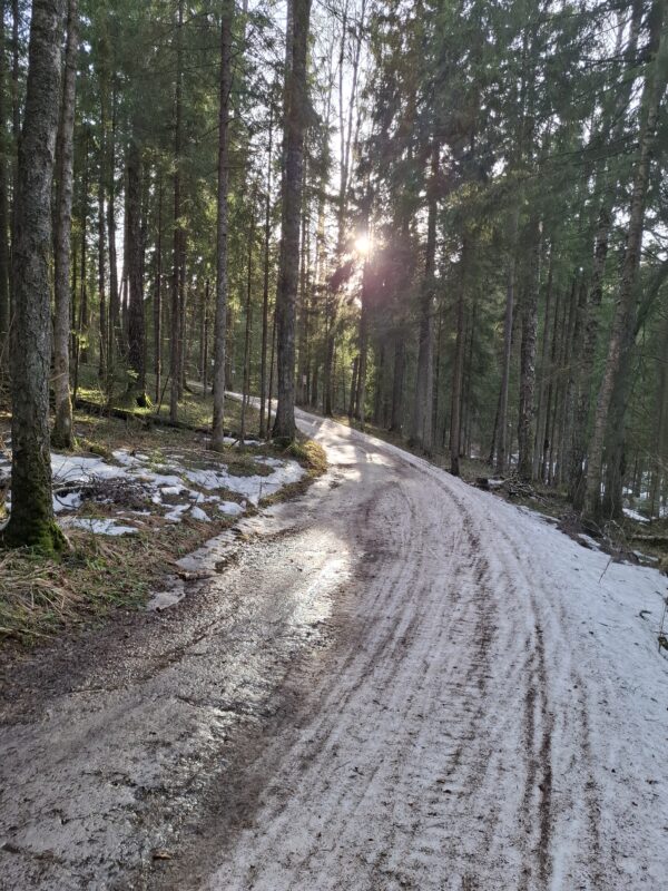 Трасса лыжная ГАБО, состояние на 7 апреля 2026 по отзыву, фото 6. 
