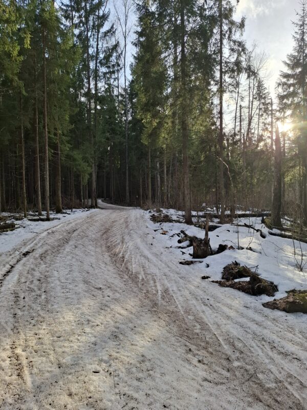 Трасса лыжная ГАБО, состояние на 7 апреля 2026 по отзыву, фото 7. 
