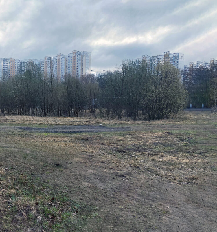 Трасса лыжная Ново-Переделкино, состояние на 10 апреля 2026 по отзыву, фото 1. 