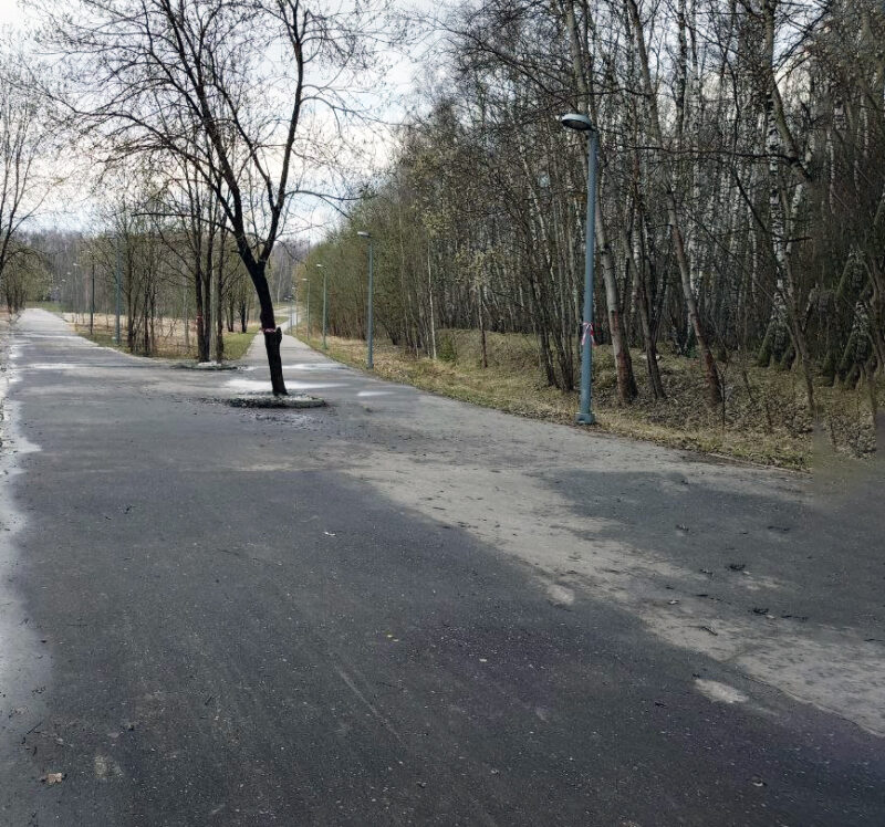 Трасса лыжная Поляны, состояние на 14 апреля 2026 по отзыву, фото 1. 