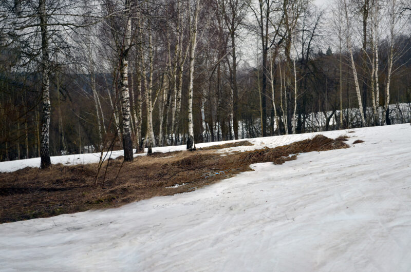 Трасса лыжная Шильково, состояние на 1 апреля 2026 по отзыву, фото 2. 
