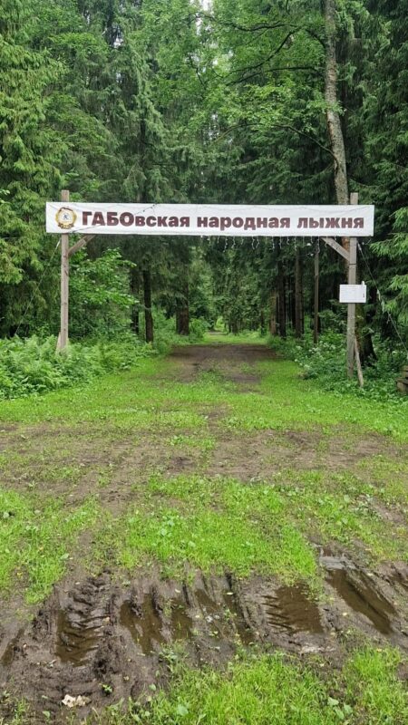 Трасса лыжная ГАБО, состояние на 17 июня 2026 по отзыву, фото 1. 