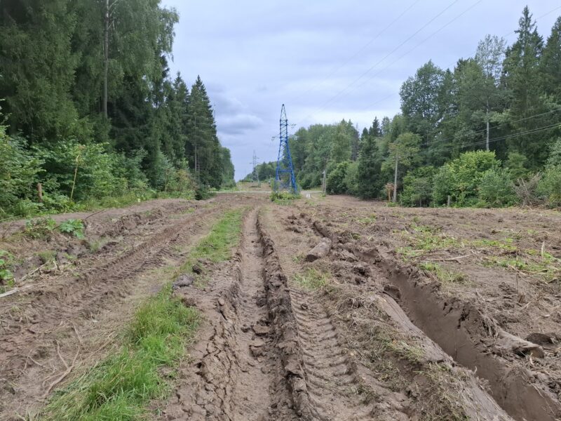Трасса лыжная ГАБО, состояние на 22 августа 2026 по отзыву, фото 6. 
